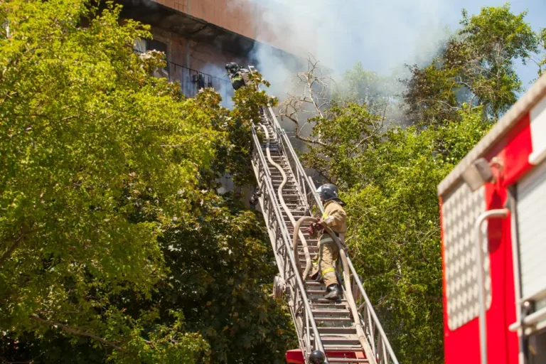 Fire Safety Challenges in Green Buildings